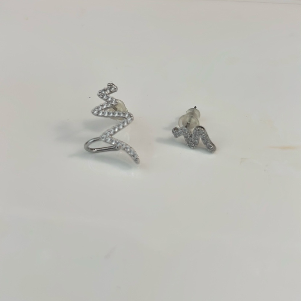 Fashion earrings